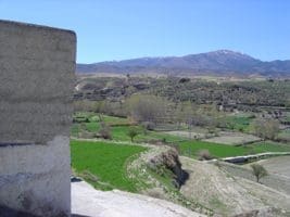 v614 Caniles, Granada
